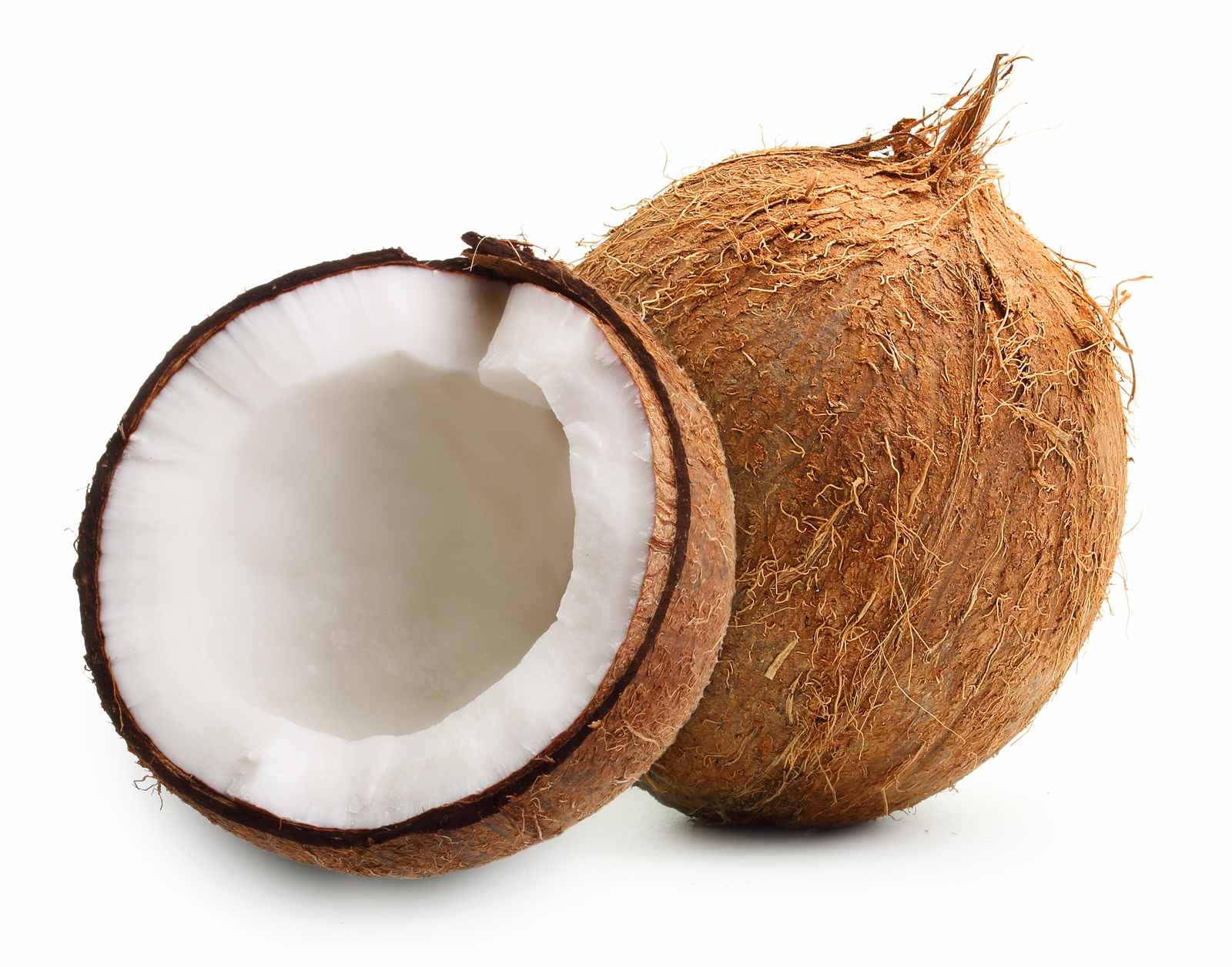 Coconut detail 1