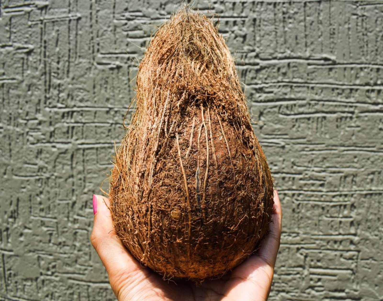 Semi Husked Coconut